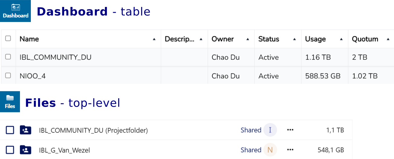 Example of project folder name